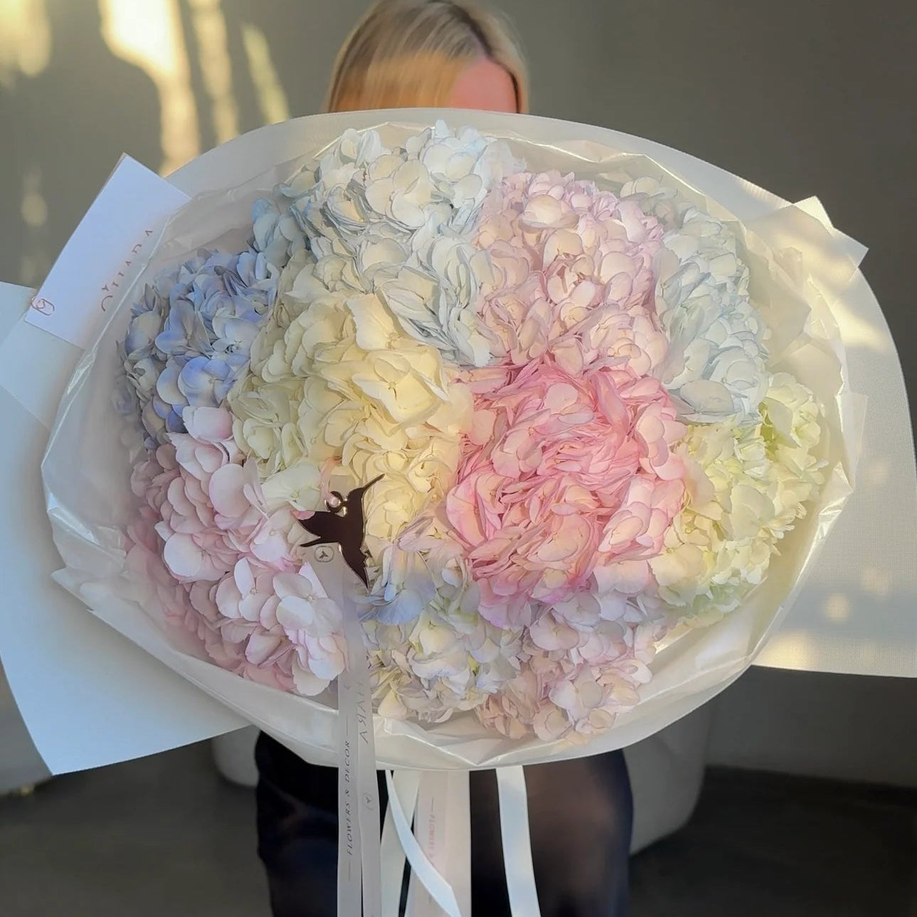 Color Bloom Hydrangea