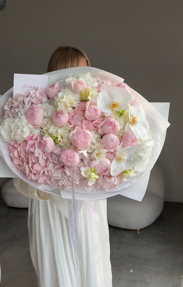Dream