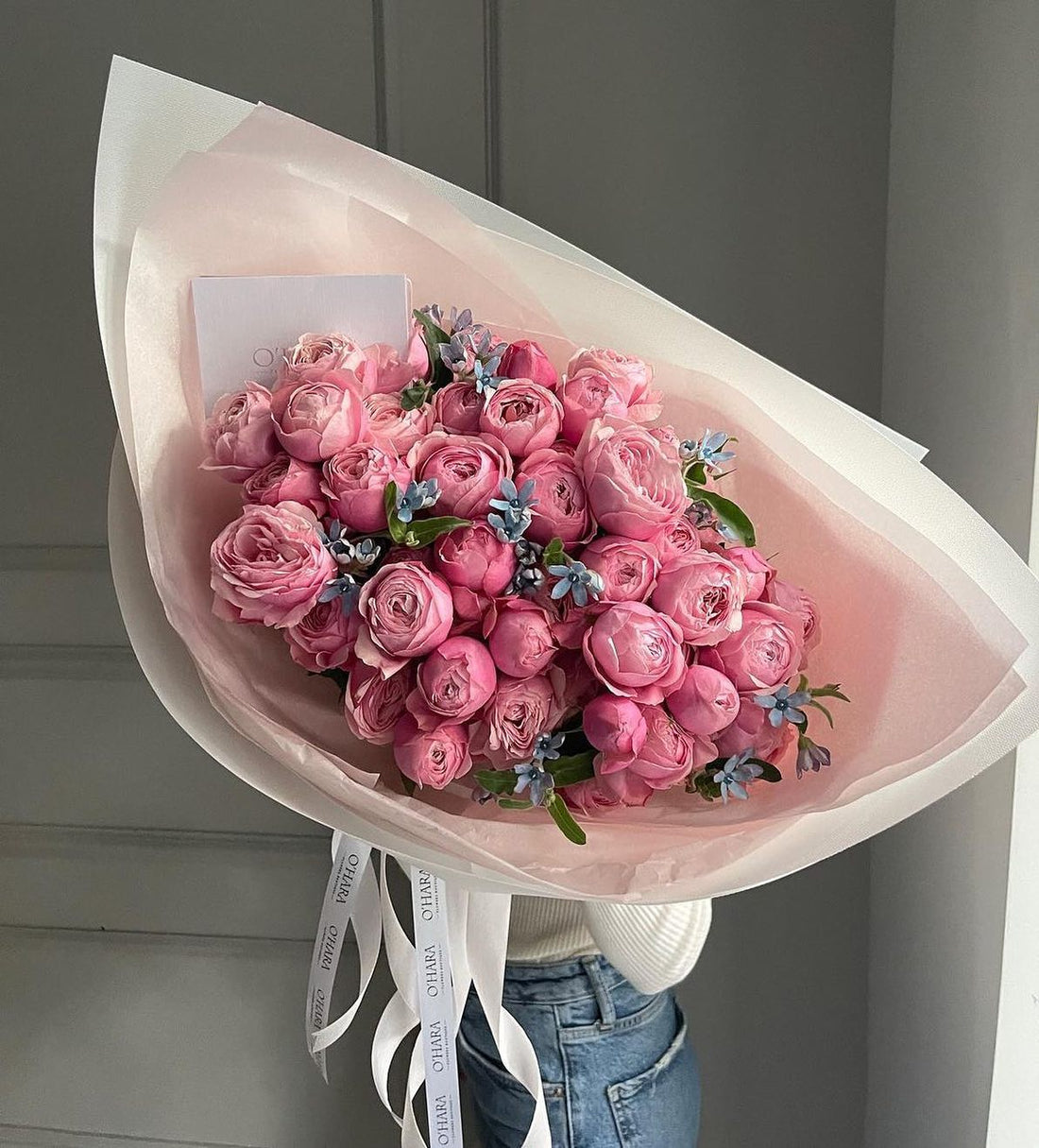 Roses and Blue Tweedia