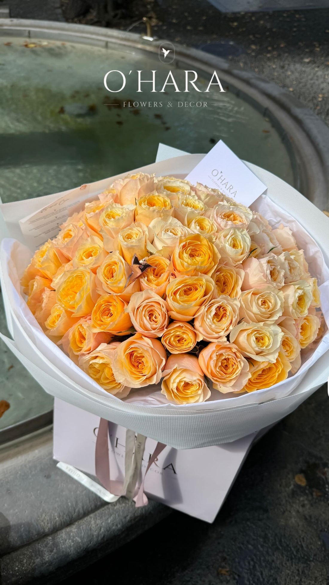 Mono King Roses